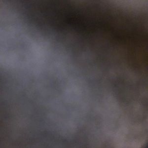 Meet your Posher, Blake